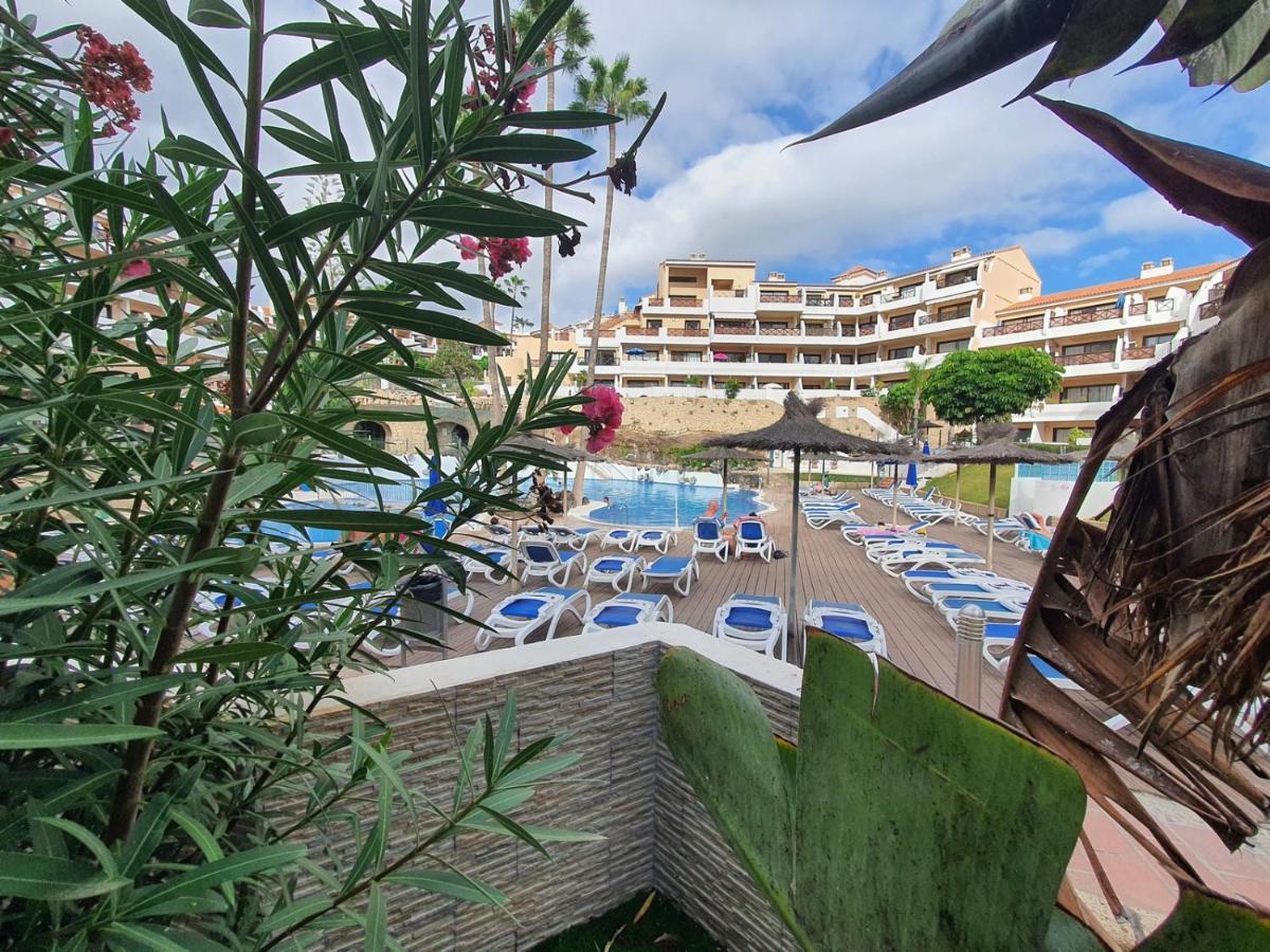 Brand New Apartment In Park Albatros With Pool View San Miguel de Abona Dış mekan fotoğraf